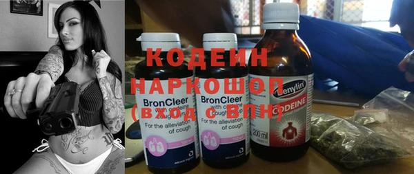 молекула духа Алзамай