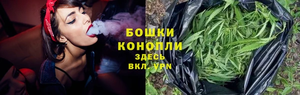 молекула духа Покачи